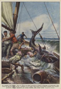 La vengeance du requin