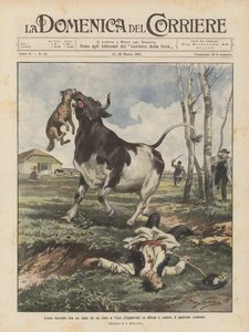 Lutte mortelle entre un chien et un taureau à Vecs (Hongrie) pour défendre et attaquer le même maître - Achille Beltrame