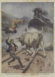 Vache enragée tuant un homme et ensuite percutée et écrasée par un train entre Lucques et Castelnuovo