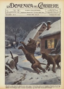 Un lion et une lionne, échappés d