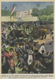 Un taureau qui fait des ravages - Achille Beltrame