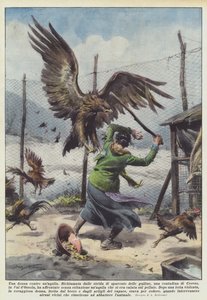Une femme contre un aigle
