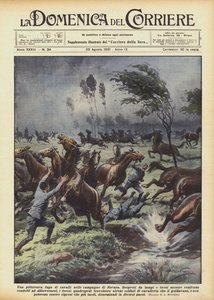 Une pittoresque fuite de chevaux dans les campagnes de Novara