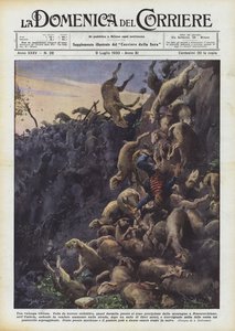 Une avalanche vivante
