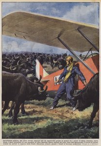 Une aviatrice polonaise, qui avait dû atterrir en raison d