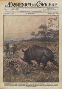 Une aventure de grande chasse en Afrique