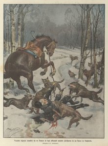 Vieil homme attaqué par une meute de loups affamés en Hongrie