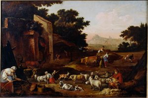 Tonte des moutons