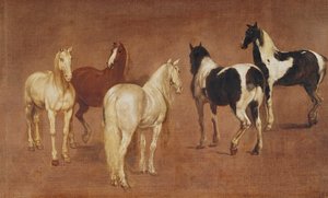 Étude de cinq chevaux