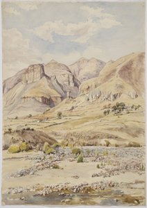 Vue - près d