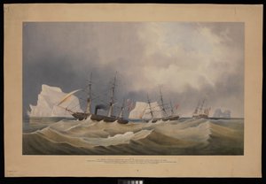 H.M.S. Phoenix avec ses consorts, The Diligence et Breadalbane, parmi les icebergs