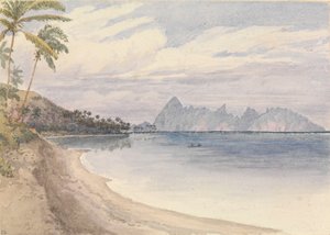 Eimeo [Moorea] près de Papeiti [Tahiti, îles de la Société], 25 août 1849
