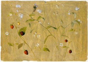 Fraises et myosotis - Adolf Senff