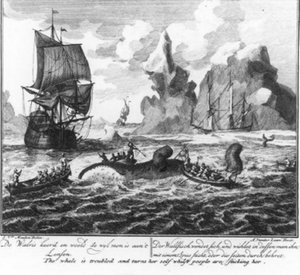 « La baleine se retourne et s