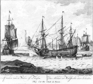 « Le dépeçage de la baleine » (n° 8 de la série sur la chasse à la baleine) - Adolf van der Laan