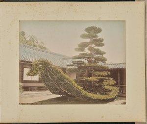 Pin, Kinkakuji - Adolfo Farsari