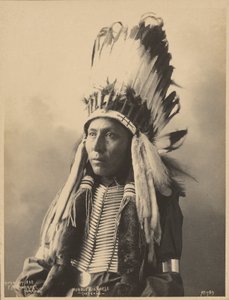 [Hubble Big Horse, du peuple Tsistsistas] - Adolph F. Muhr