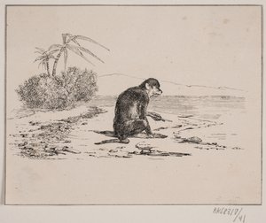 Le singe