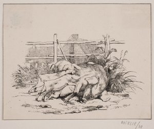 Les cochons