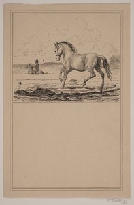 Le cheval dans l