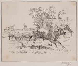 Le cerf - Johan Adolph Kittendorff
