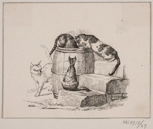 Les chats