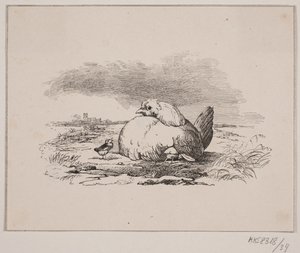 Les poussins - Johan Adolph Kittendorff