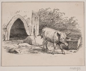 Le Cochon enchaîné