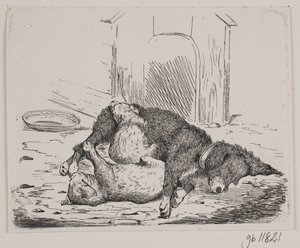 Chien enchaîné avec chiot