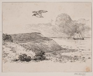 La mouette - Johan Adolph Kittendorff