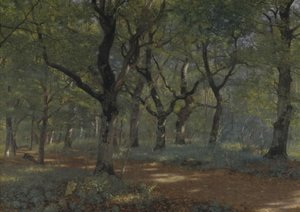 Dans la forêt