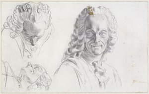 Étude de Voltaire - Adolph Menzel