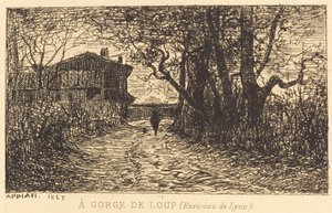 Une Gorge de Loup