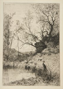 Paysage
