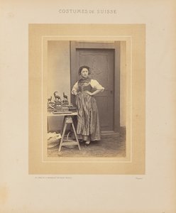 Canton de Thurgovie - Adolphe Braun