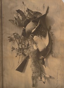 [Nature morte : gibier mort]