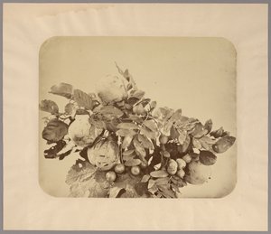 Nature morte aux coings et aux baies - Adolphe Braun