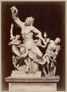 Le Laocoon au Musée du Vatican - Adolphe Braun