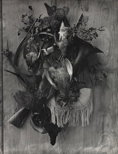 Trophée de la chasse - Adolphe Braun