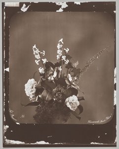 Sans titre (arrangement floral) - Adolphe Braun