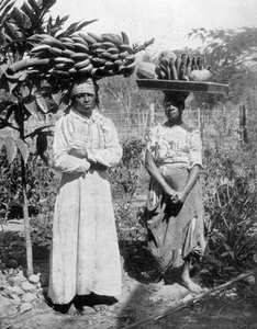 Vendeurs de fruits, Jamaïque, vers 1905