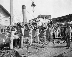 Chargement de bananes, Port Antonio, Jamaïque, vers 1905