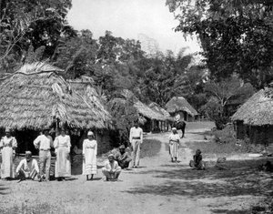 Cabanes indigènes, Jamaïque, vers 1905