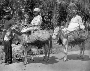 En route vers la prison, Jamaïque, vers 1905