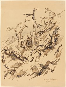 Une colline rocheuse avec des arbres morts et mourants - Adolphe Etienne Viollet Le Duc II