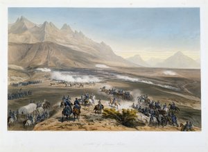 Bataille de Buena Vista