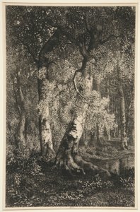 Les hêtres - Adolphe Martial Potemont