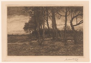 Paysage avec arbres