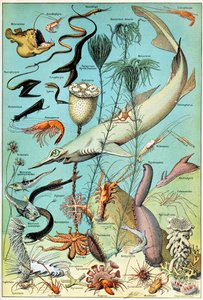 Illustration d
