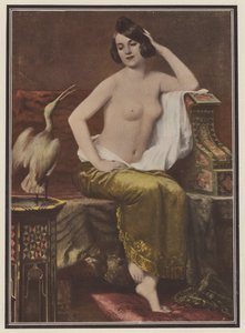 La favorite, femme avec un oiseau